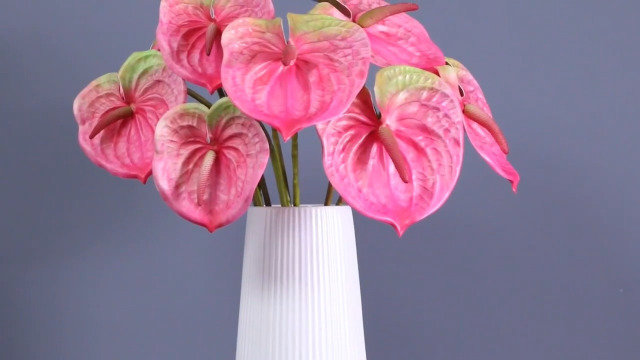 flowers for algernon 様取り置き専用　エグゾト 934 flowers for algernon 様取り置き専用 エグゾト 934